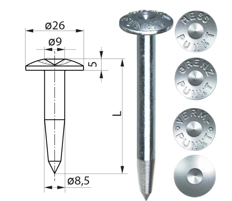 Head bolt with flatround head and centering, hardened and galvanized steel, without inscription, length 5 cm